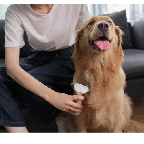 Grooming Kits