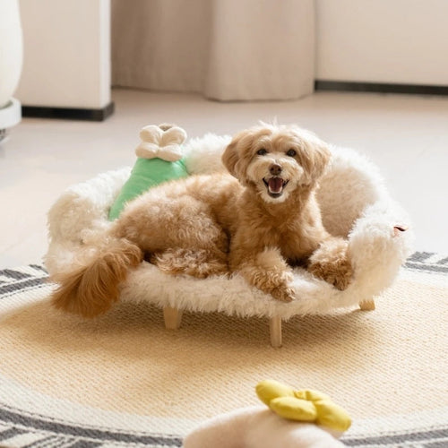 Pet Bed