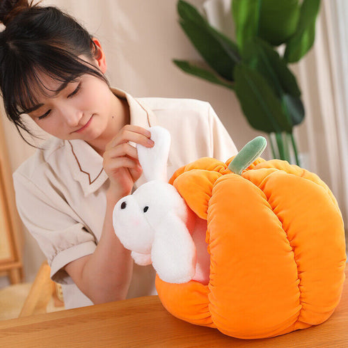 Pet toy