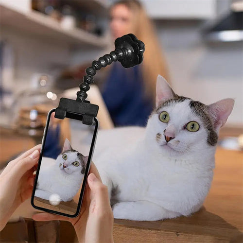 Pet Camera