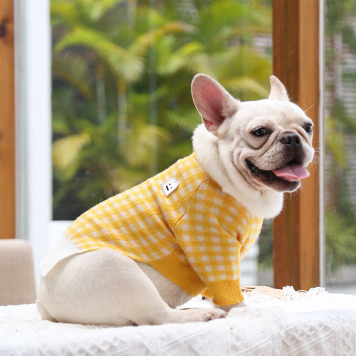 Pets Clothing