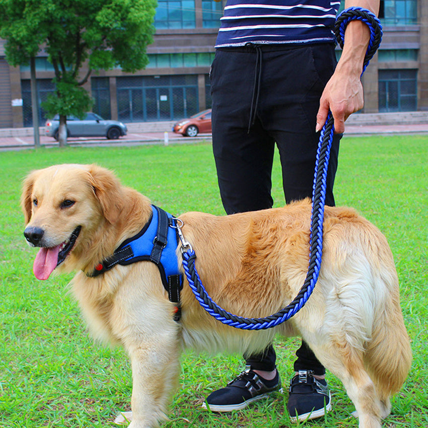 Dog leash dog leash chest strap