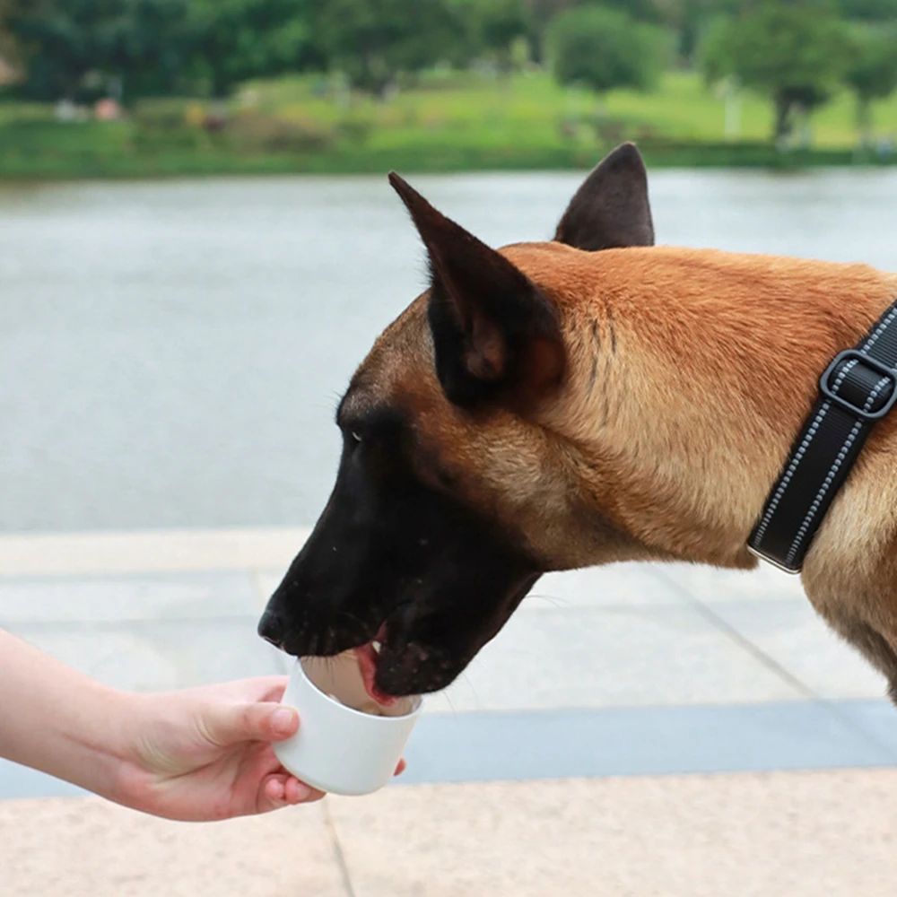 Pet Dog Water Bottle Feeder Bowl Portable Water Food Bottle