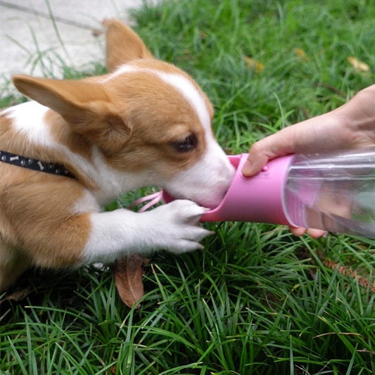 Dog Water Bottle Portable Pet Water Bottle Leak Proof Dog Water Dispenser And Food