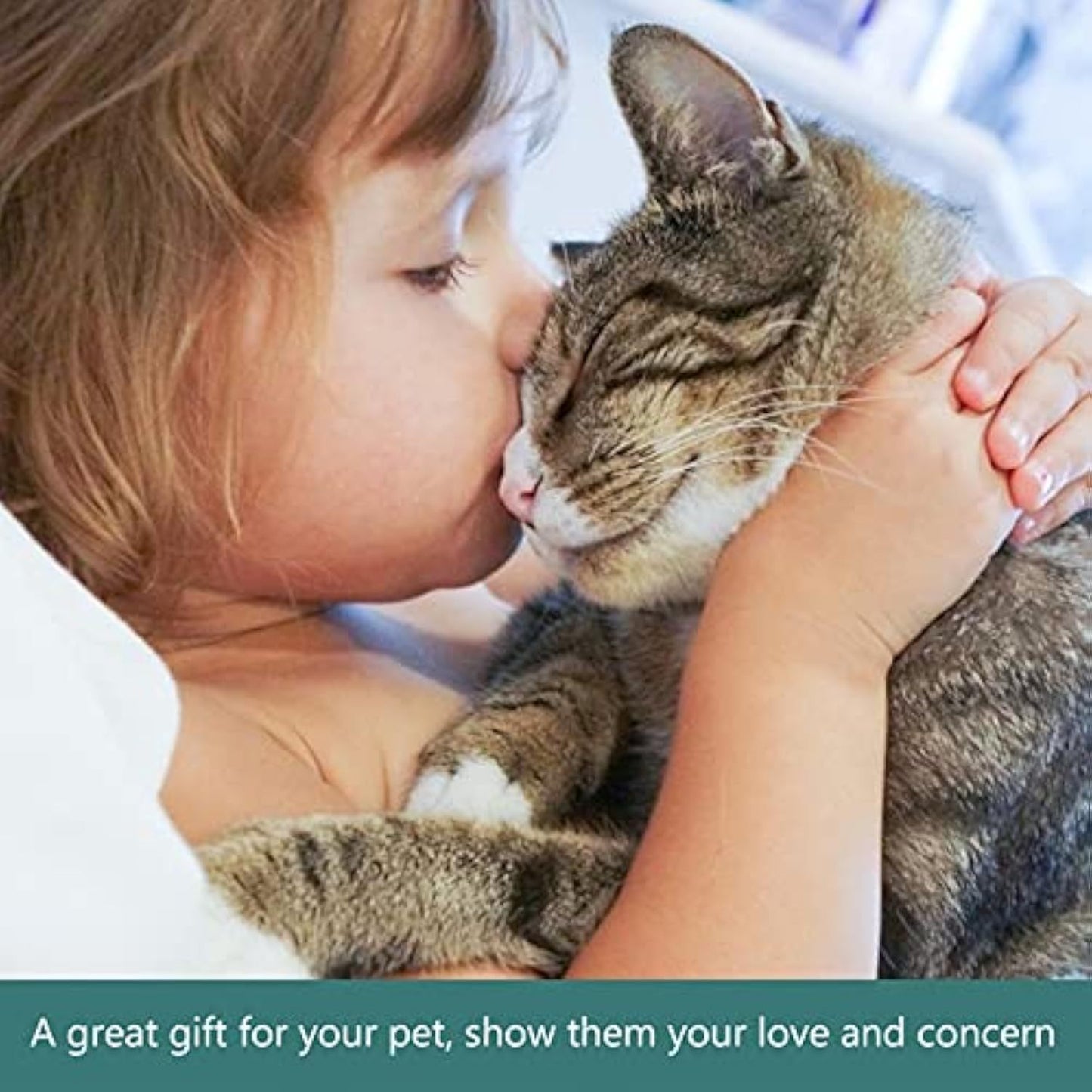 Pet Feeding Bowl