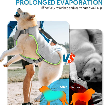 Cross-border Amazon Doggy Gray Cooling Vest Ice Pack Cooling Vest Summer Pet Special Adjustable