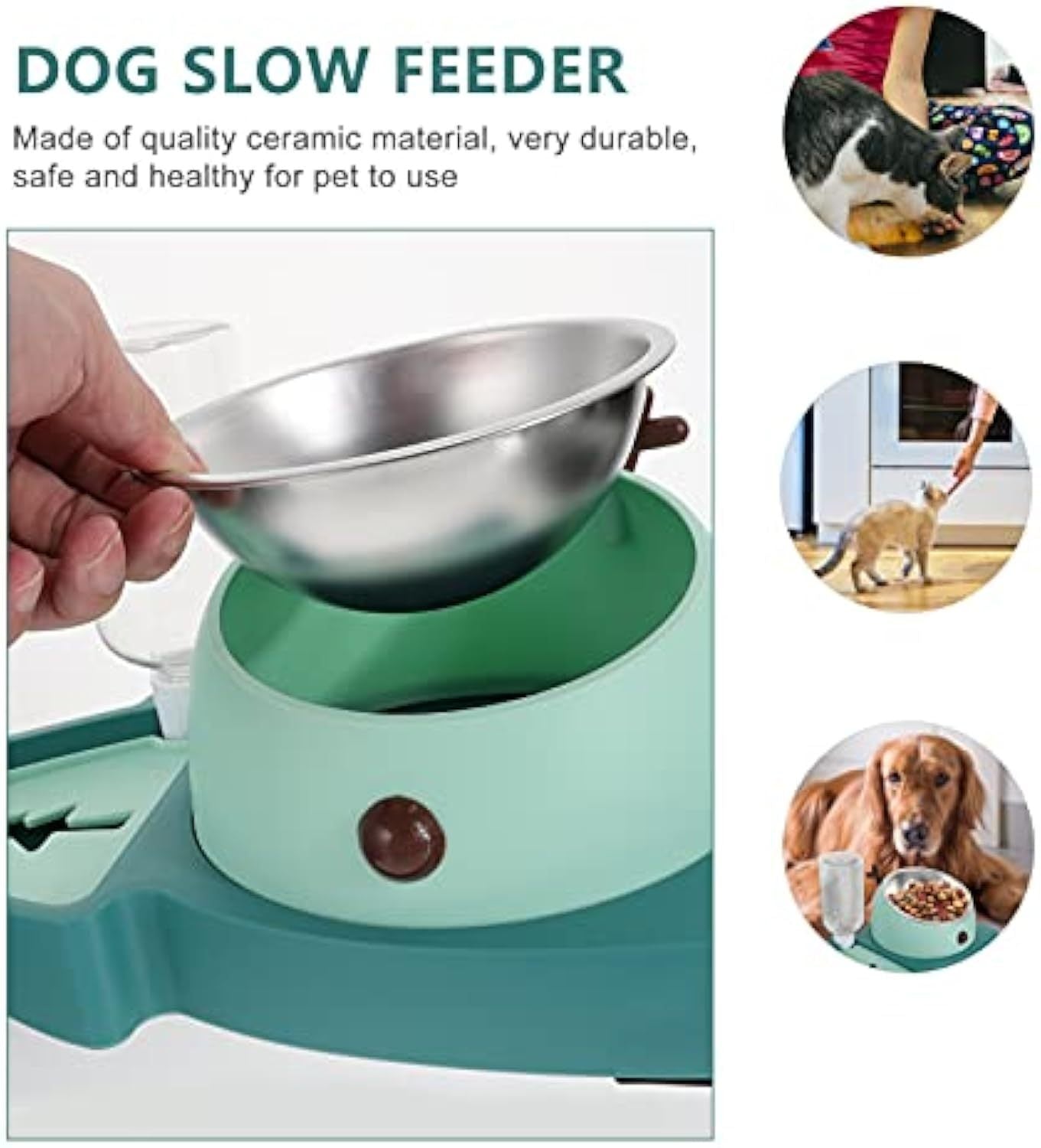 Pet Feeding Bowl