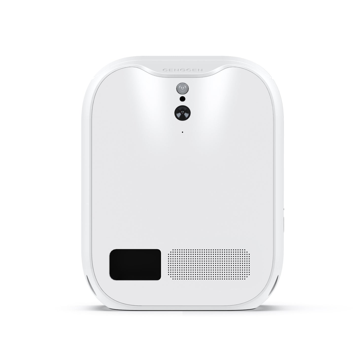 Recharge Wireless Phone Control With APP Remote Camera Pet